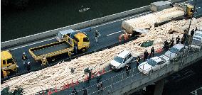 400 boards fall from truck on Tokyo expressway